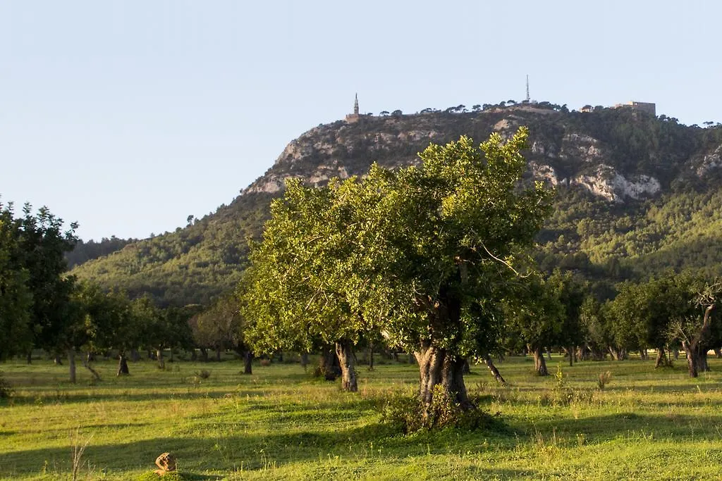 Petit Hotel Hostatgeria Sant Salvador Felanitx Hiszpania